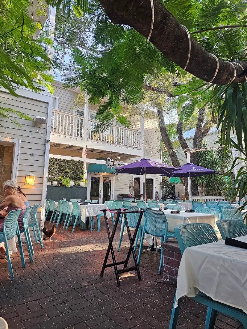 Garden patio seating with teal chairs under the trees